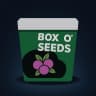 Berry Seeds